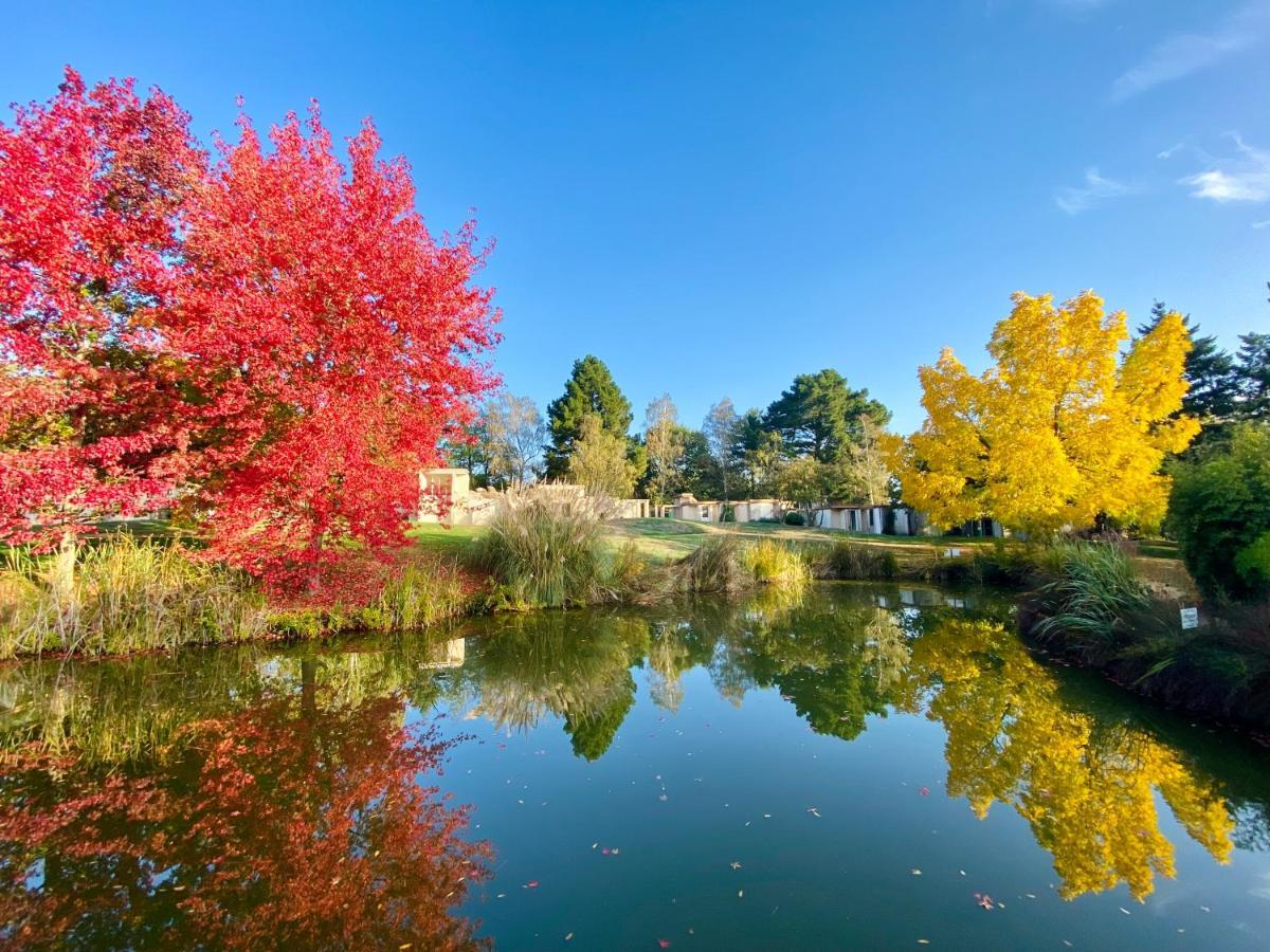 Les Jardins De L'Anjou Hotell Montjean-sur-Loire Eksteriør bilde